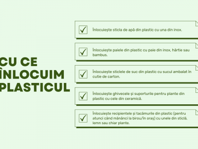 Cu ce înlocuim plasticul, exemple practice